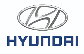 https://www.prografix.de/wp-content/uploads/2019/01/Hyundai.png